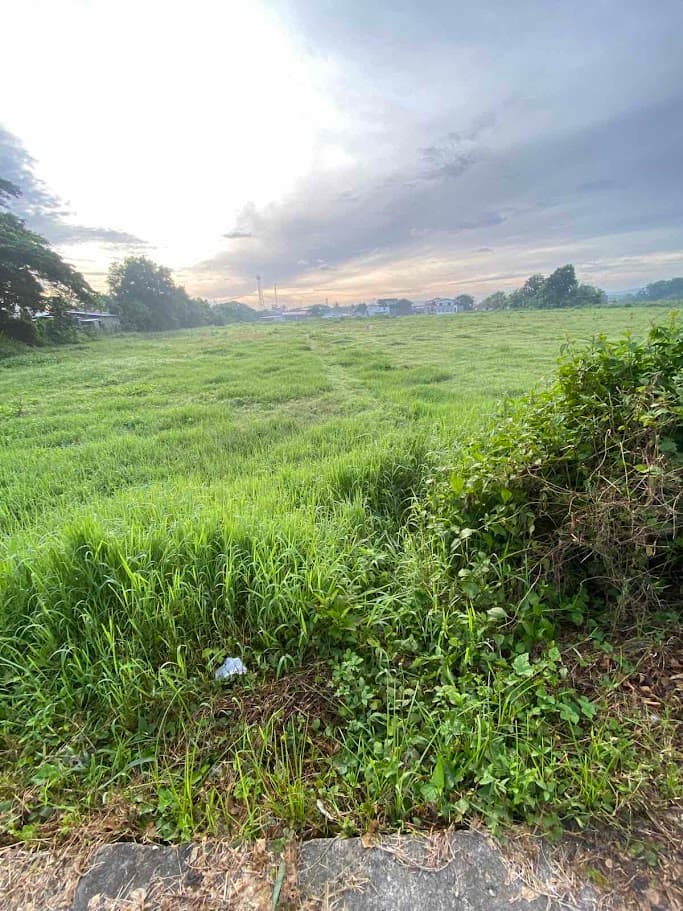 PRIME COMMERCIAL LOT IN ROSARIO BATANGAS — photo 3 of 3
