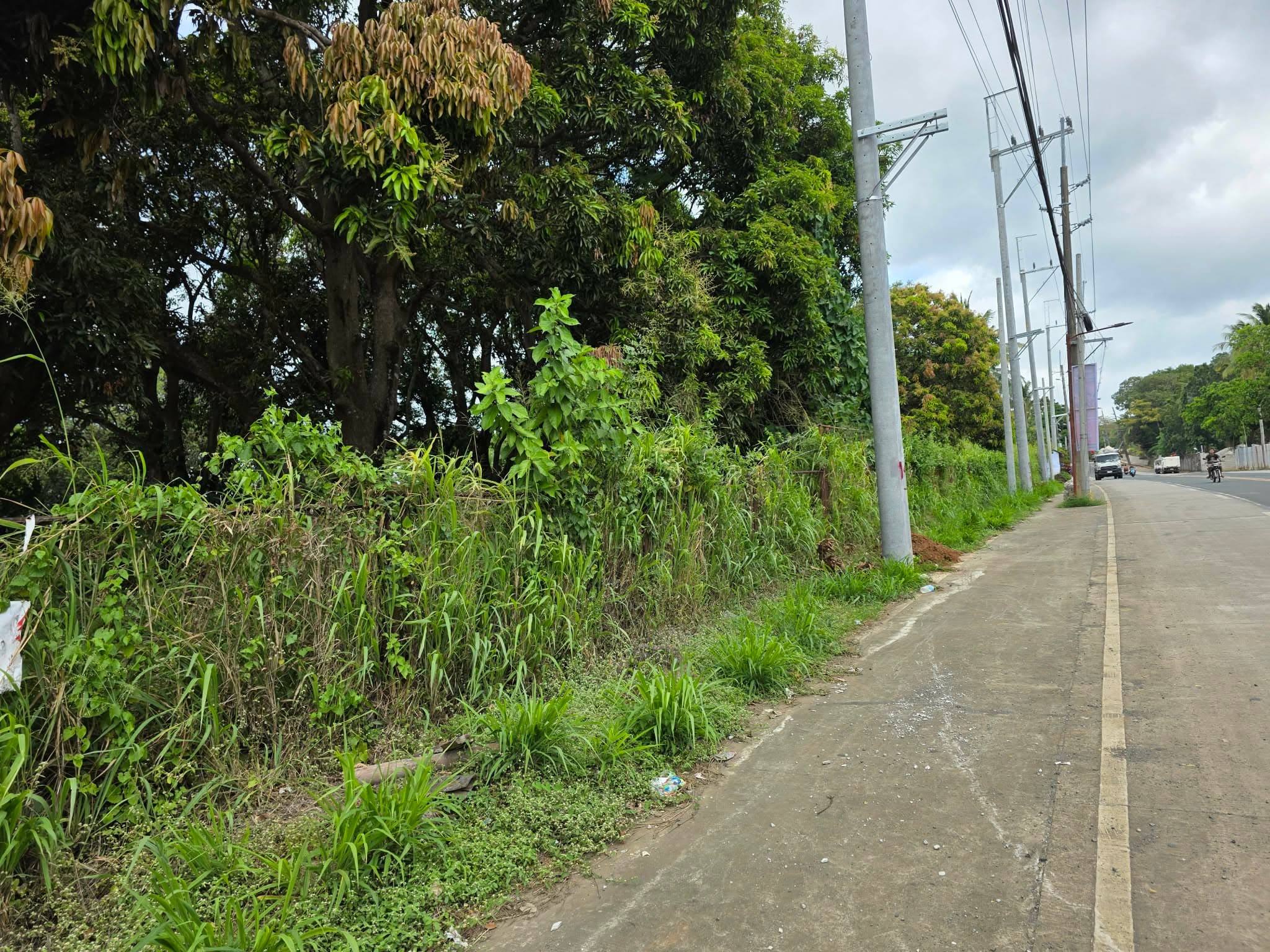 PRIME COMMERCIAL LOT IN TANAY — photo 1 of 2