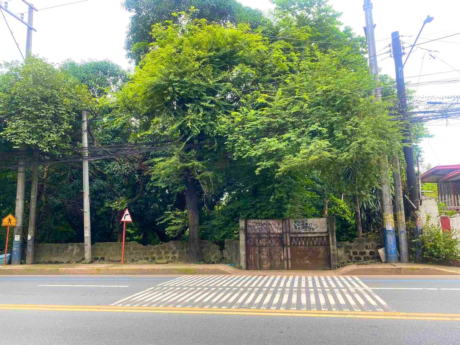 PRIME COMMERCIAL LOT ALONG ORTIGAS EXTENSION