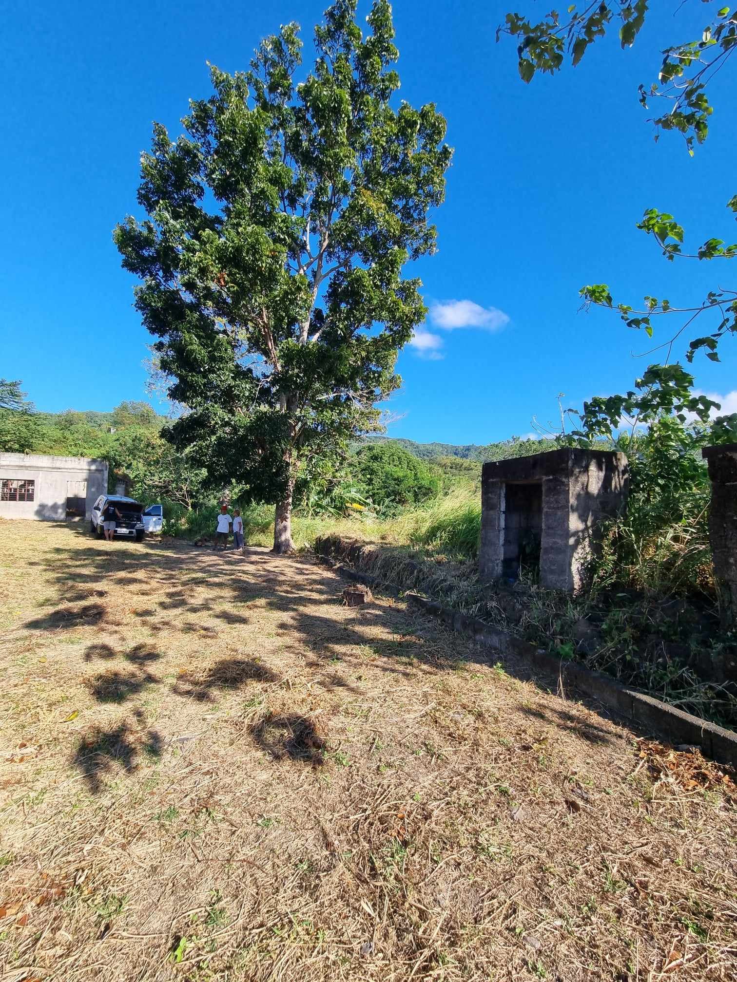 RAWLAND FOR SALE IN PILILLA RIZAL — photo 2 of 3